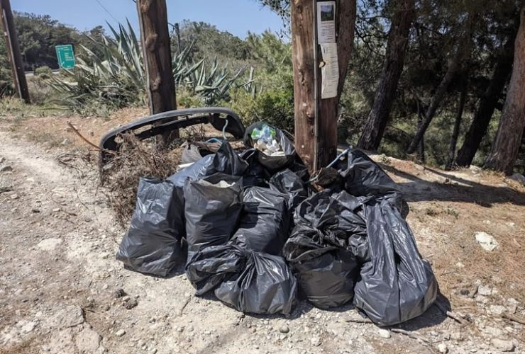 Μία αξιέπαινη πρωτοβουλία στην Κρήτη: Παιδιά και εθελοντές καθάρισαν δάση