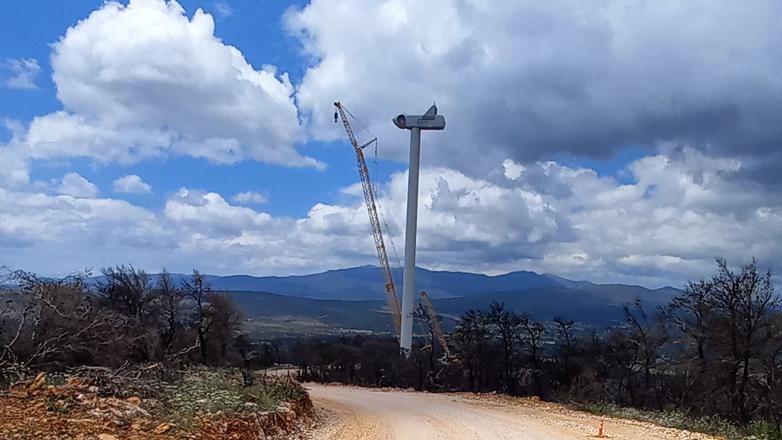 Στο δάσος που κάηκε πέρσι, «φύτρωσαν» φέτος ανεμογεννήτριες