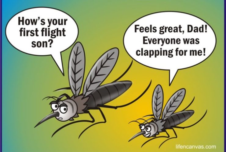 Γιατί τα κουνούπια τσιμπάνε εσάς και όχι τους άλλους