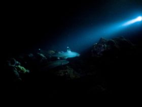 Ανακαλύφθηκε μυστηριώδες «σκοτεινό οξυγόνο» που παράγεται στον πυθμένα των ωκεανών