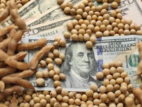 Αποδολαριοποίηση: Οι BRICS φτιάχνουν χρηματιστήριο για την αγορά σιταριού και απειλούν με πείνα τη Δύση