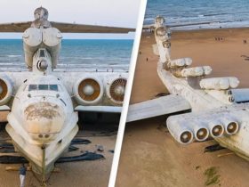 Ένα τρομερά ασυνήθιστο “αεροπλάνο”, μεγαλύτερο από Boeing 747, βρίσκεται σε παραλία