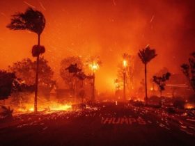 Οι «αστέρες» θάμπωσαν στα αποκαΐδια του Χόλιγουντ – Κάηκε η ματαιοδοξία της μεγάλης «Βαβυλώνας»