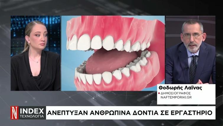 Ανθρώπινα δόντια αναπτύχθηκαν στο εργαστήριο για πρώτη φορά